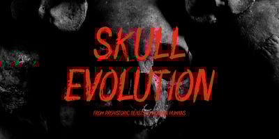 Font visual image of Chero Scary Brush Display