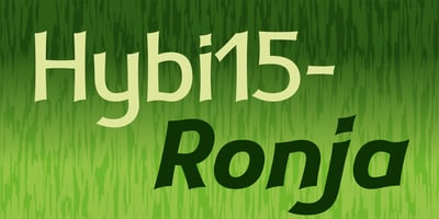 Font visual image of Hybi15 Ronja