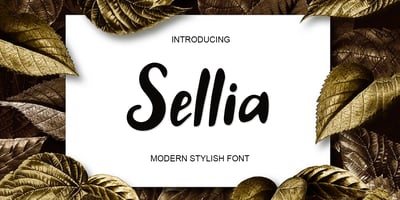 Font visual image of Sellia