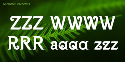Font visual image of Kia Ora