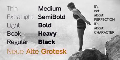 Font visual image of Neue Alte Grotesk