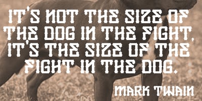 Font visual image of Gamebred