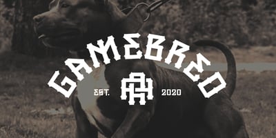 Font visual image of Gamebred