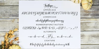 Font visual image of Sinthya Script