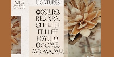 Font visual image of Milla Grace