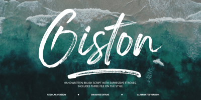 Font visual image of Giston