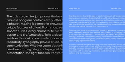 Font visual image of Nicky Sans