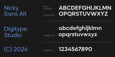 Font visual image of Nicky Sans