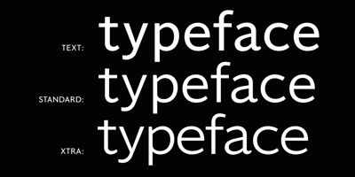 Font visual image of Immanent