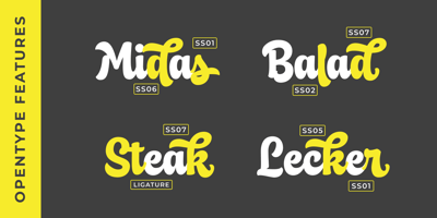 Font visual image of Lenister