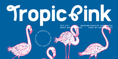 Font visual image of Tropic Pink