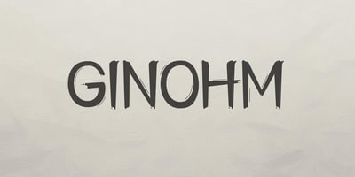 Font visual image of Ginohm