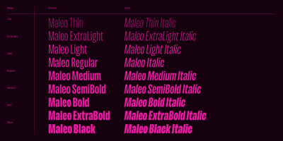 Font visual image of Maleo