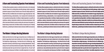 Font visual image of Maleo