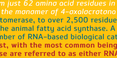 Enzyme