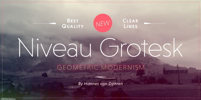 Niveau Grotesk
