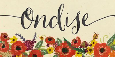 Ondise