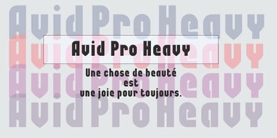 Avid Pro
