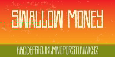 Swallow Money