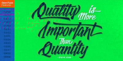 Logotype Frenzy