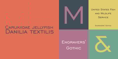 Engravers’ Gothic BT