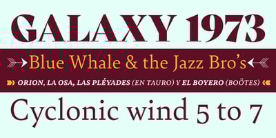 Bely