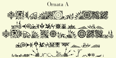Ornata A
