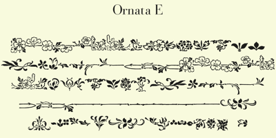 Ornata E
