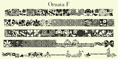 Ornata F