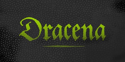 Dracena
