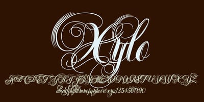 Xylo Script