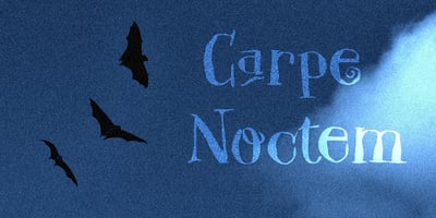 Carpe Noctem