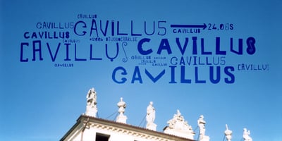 Cavillus
