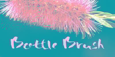 Bottle Brush
