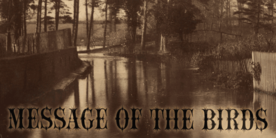 Message Of The Birds