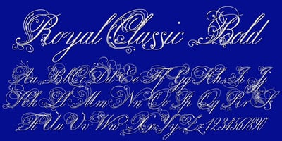 Royal Classic Bold