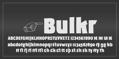 Bulkr