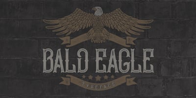 Bald Eagle