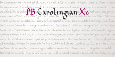 PB Carolingian Xc