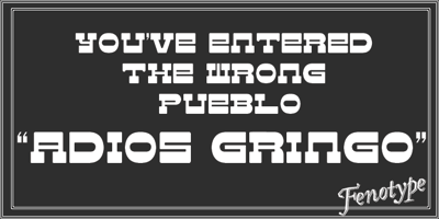 Adios Gringo