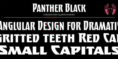Panther Black