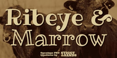 Ribeye Pro