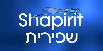 SHAPIRIT