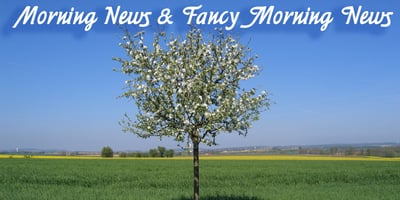 Morning News