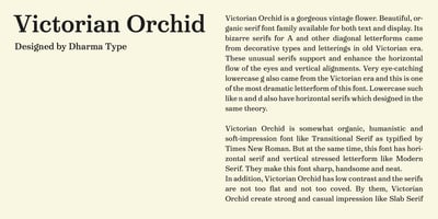 Victorian Orchid