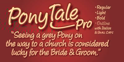 Pony Tale Pro