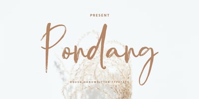 Pondang Brush