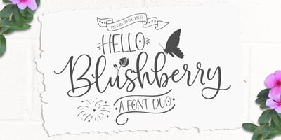 Hello Blushberry Script