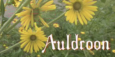 Auldroon