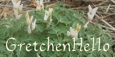 GretchenHello